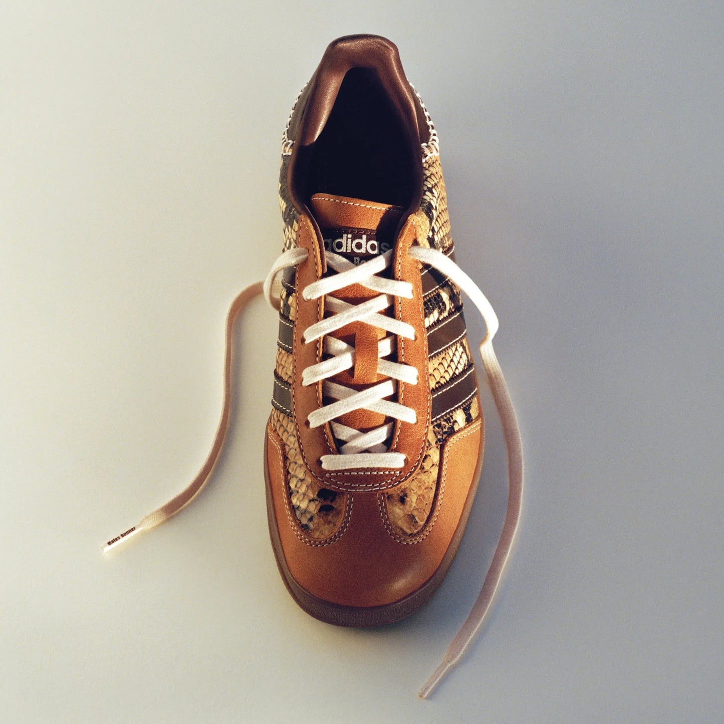 Gazelle x Wales Bonner Snake